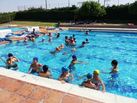 Image Not Found On Media Library