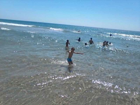 Image Not Found On Media Library