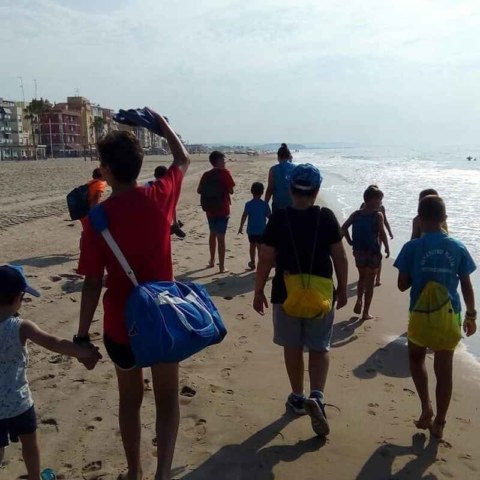 Image Not Found On Media Library