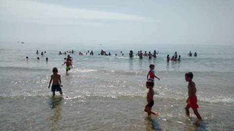 Image Not Found On Media Library