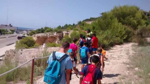 Image Not Found On Media Library