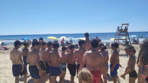 Image Not Found On Media Library