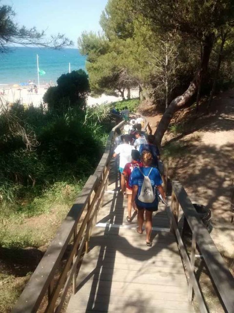 Image Not Found On Media Library