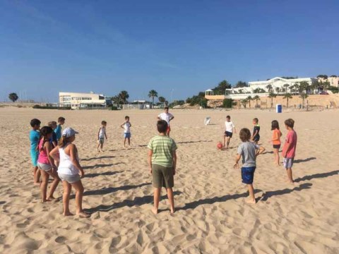 Image Not Found On Media Library