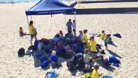 Image Not Found On Media Library