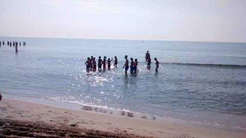 Image Not Found On Media Library