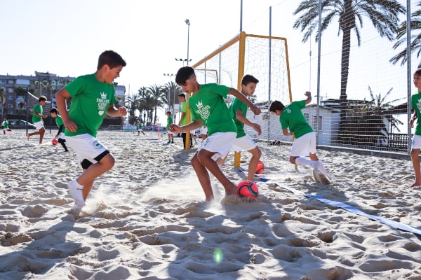 DCT-Torrox-SB-13-min